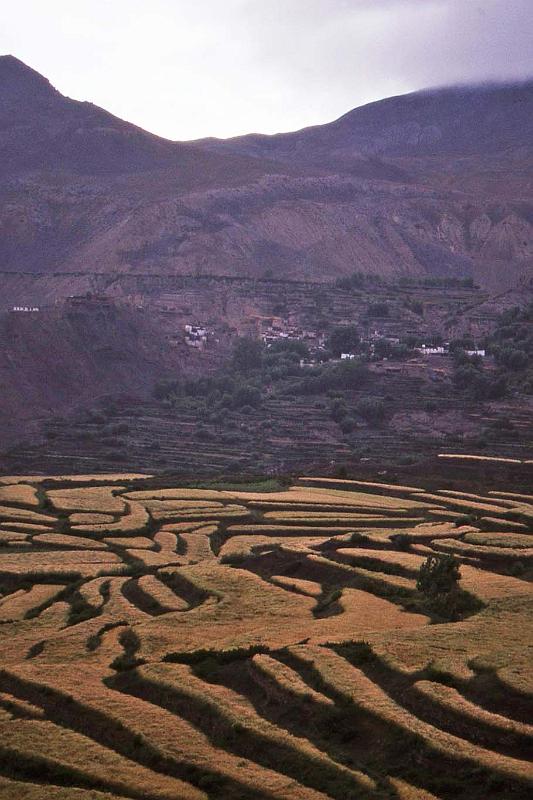 WT 1000 182-33 Nepal.jpg
